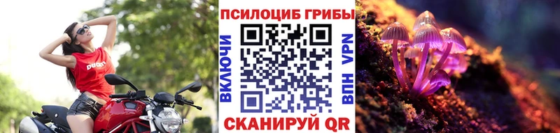 Купить закладки  Фёдоровский  Галлюциногенные грибы мухоморы 